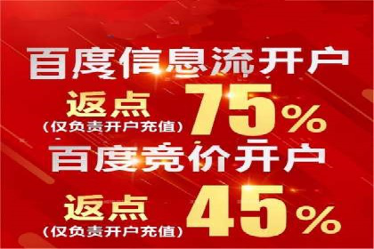搜索引擎营销（SEM）的精准投放技巧案例